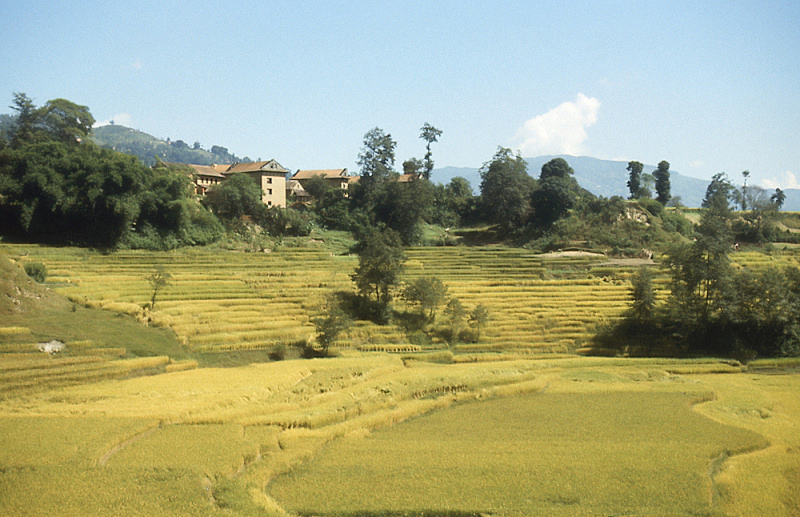 36_Dorp met rijstvelden, Kathmanduvallei.jpg